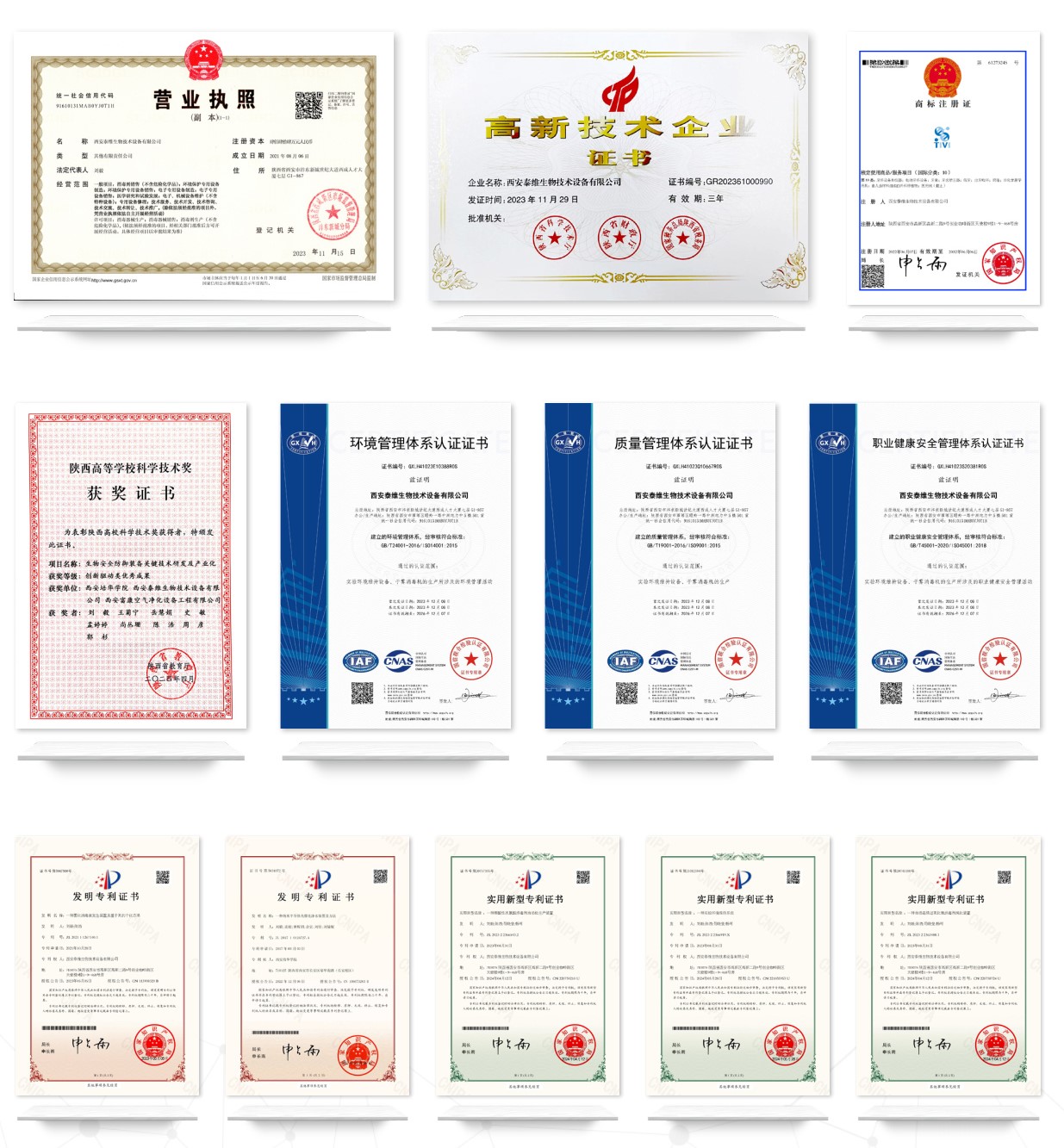 研发能力与资质